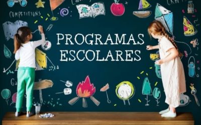 ¿Quieres que tu marca impulse un proyecto educativo? Te decimos cómo hacerlo