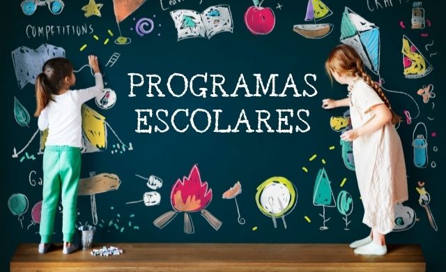 programas-escolares-mailmark-como-lo-hacemos