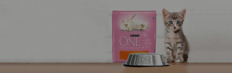 Incentivo de compra de Purina One Junior